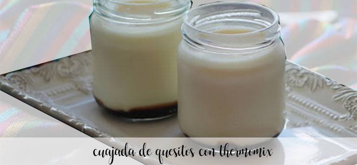 Fromage caillé au Thermomix
