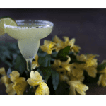 Comment préparer un cocktail Margarita sur le Thermomix