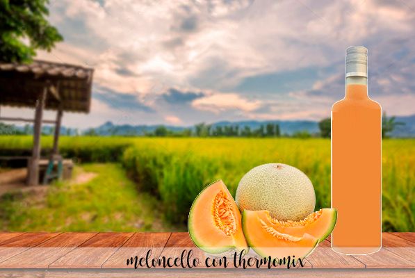 Meloncello - Liqueur de melon au Thermomix