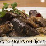 champignons sauvages au thermomix