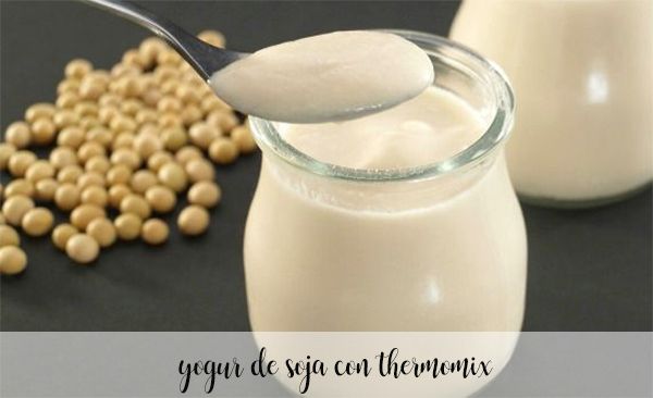 yaourt de soja au thermomix