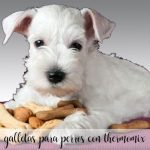 Biscuits pour chien au Thermomix