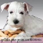 Biscuits pour chien au Thermomix