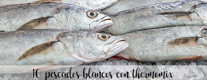 10 recettes de poisson blanc au thermomix