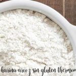 Farine de riz sans gluten au thermomix