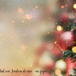 25 recettes de Noël avec Air Fryer – airfryer