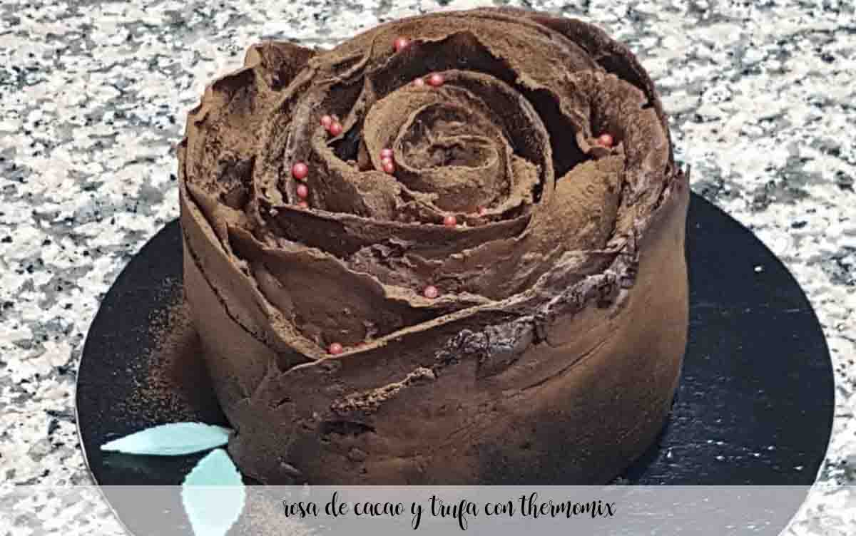 Truffe rose et cacao au thermomix