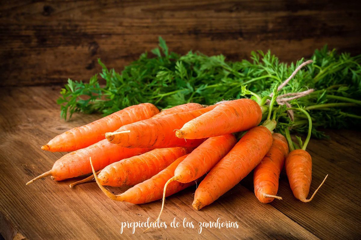 propriétés des carottes
