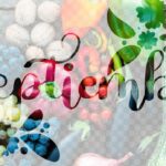 Alimentos de Temporada Septiembre