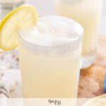 Gin Fizz avec thermomix