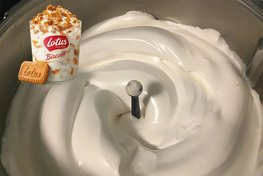 Glace MCFlurry aux biscuits Lotus avec Thermomix - la nouveauté de McDonald's