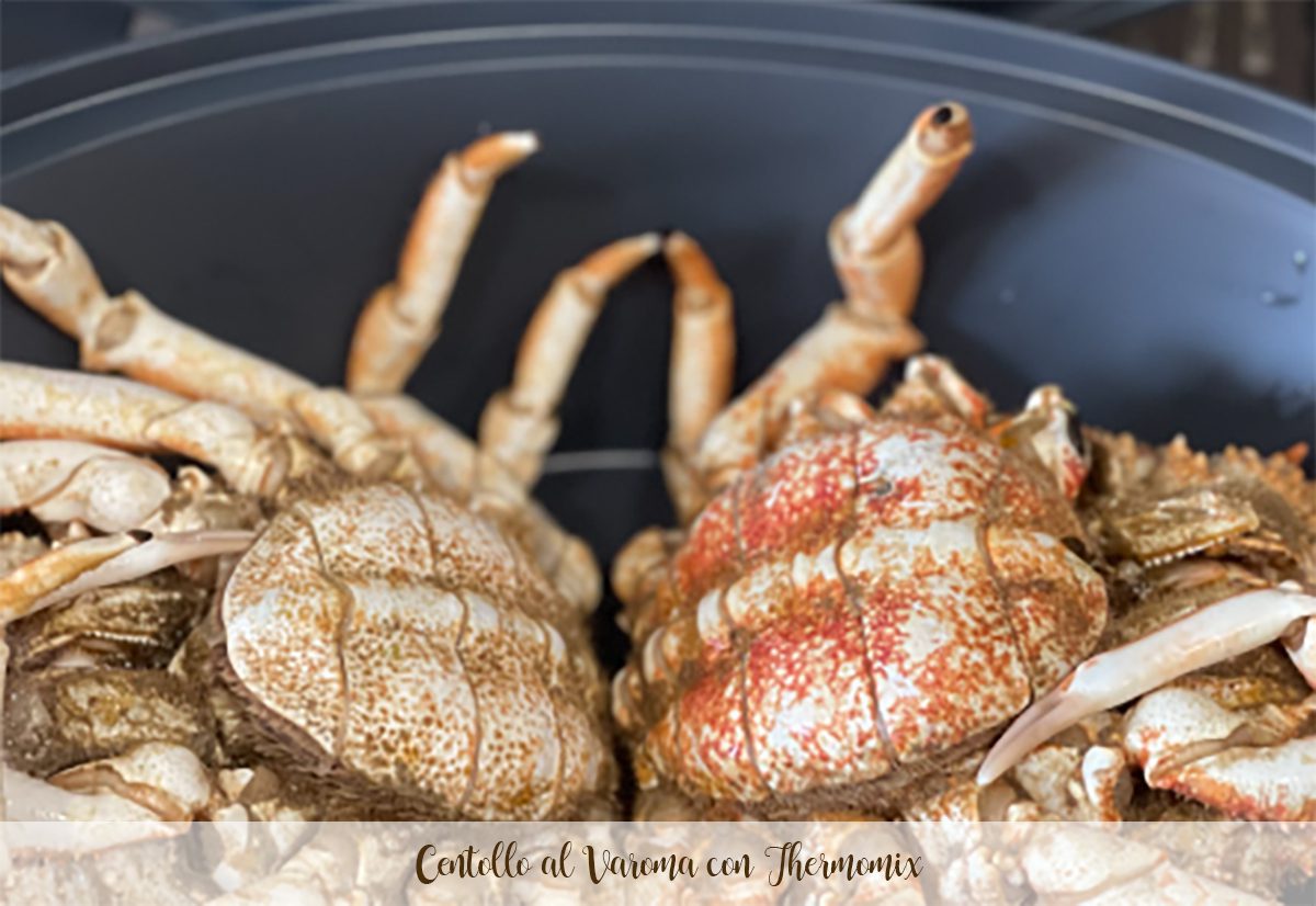 Crabe au Varoma au Thermomix